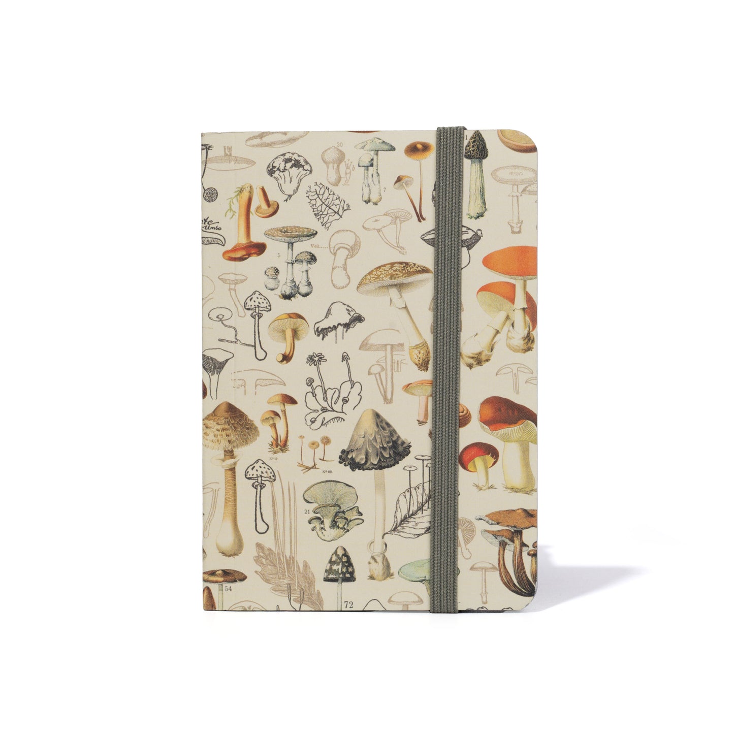 M71 FUNGHI MINI NOTEBOOK