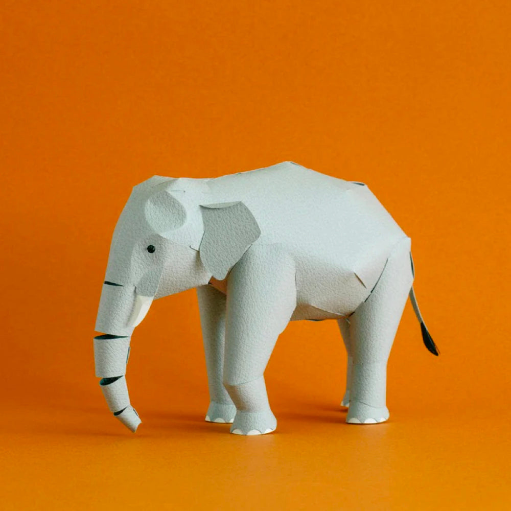 TOP TO TAIL | ELEPHANT