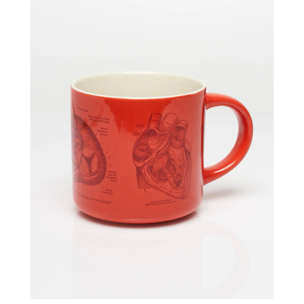 HUMAN HEART MUG