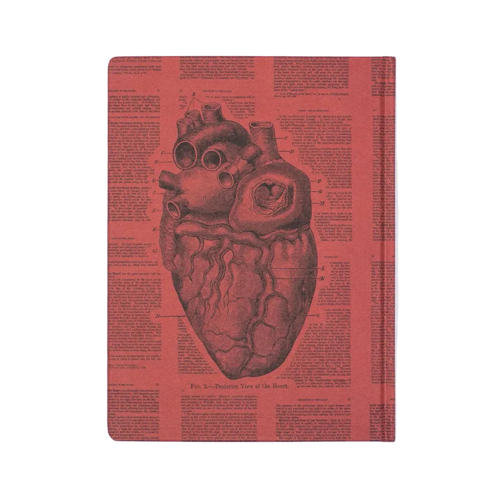M71 HEART JOURNAL