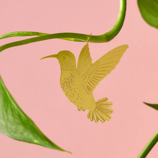 PLANT ANIMALS  | HUMMINGBIRD