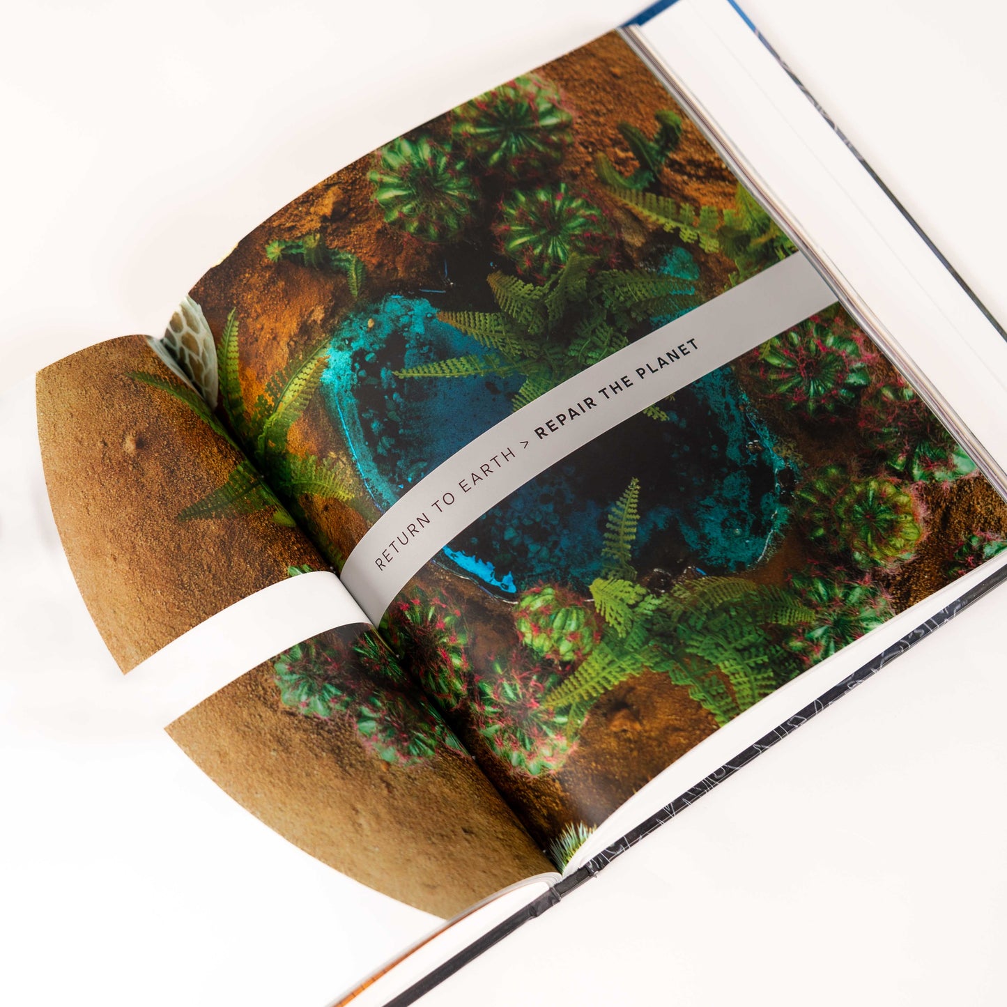 THE MUSEUM OF THE FUTURE BOOK