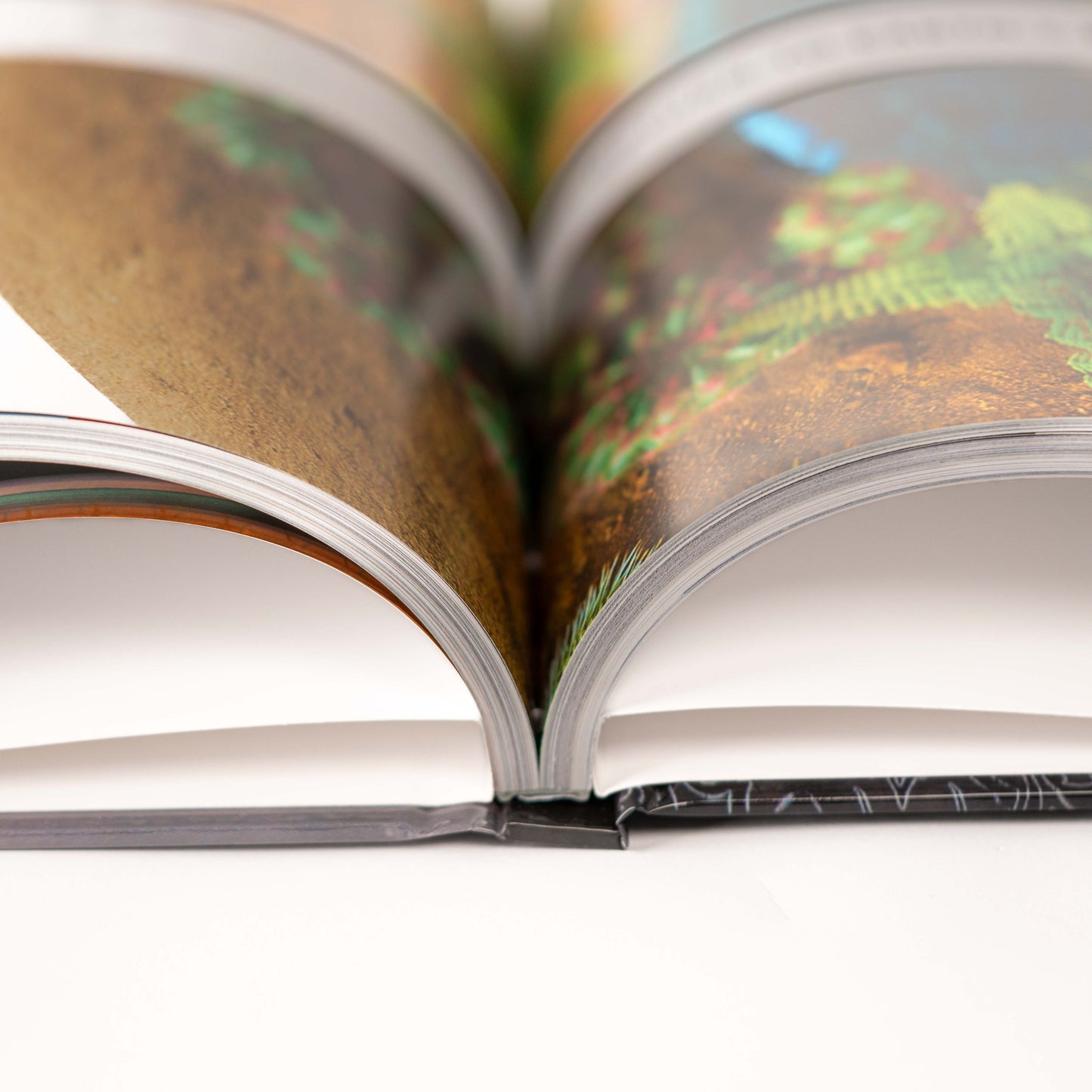 THE MUSEUM OF THE FUTURE BOOK