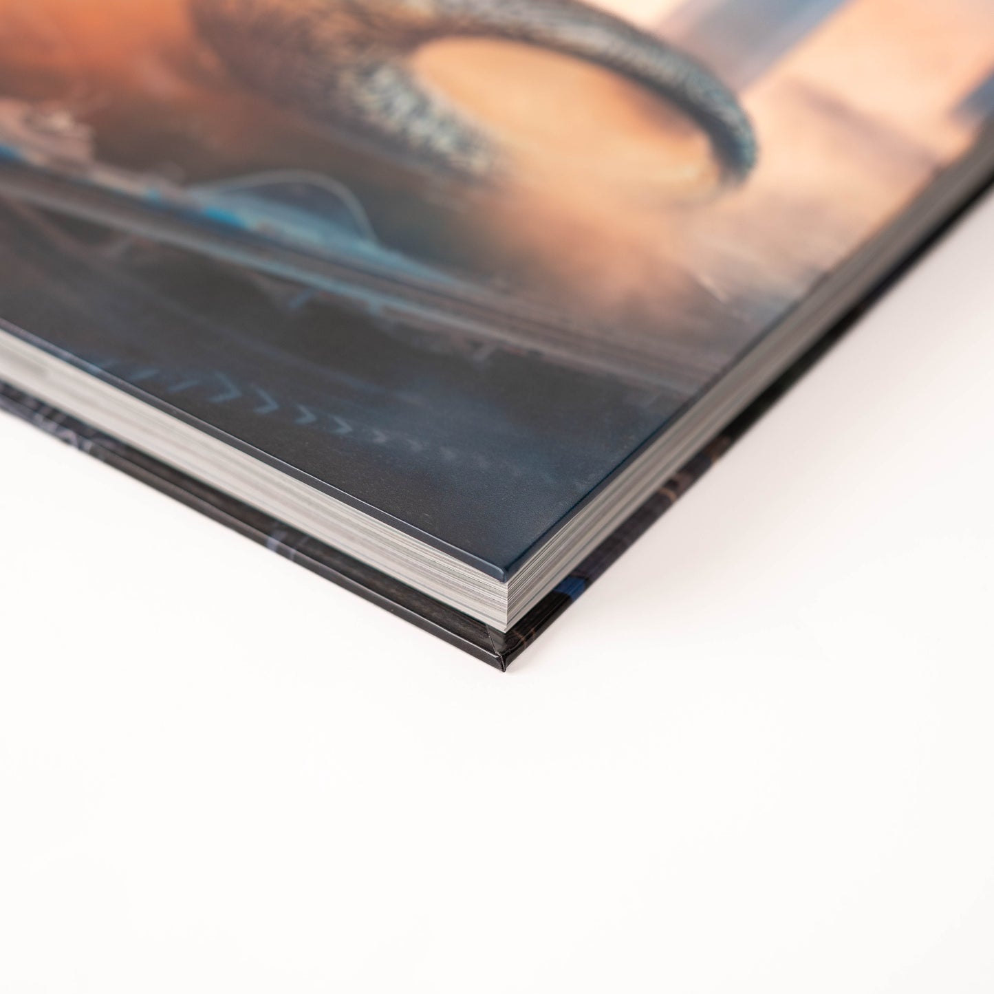 THE MUSEUM OF THE FUTURE BOOK