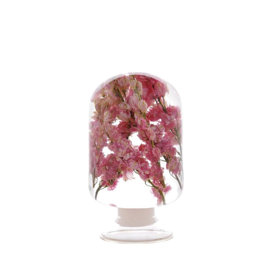 PIECES OF TIME | PINK DELPHINIUM | MEDIUM