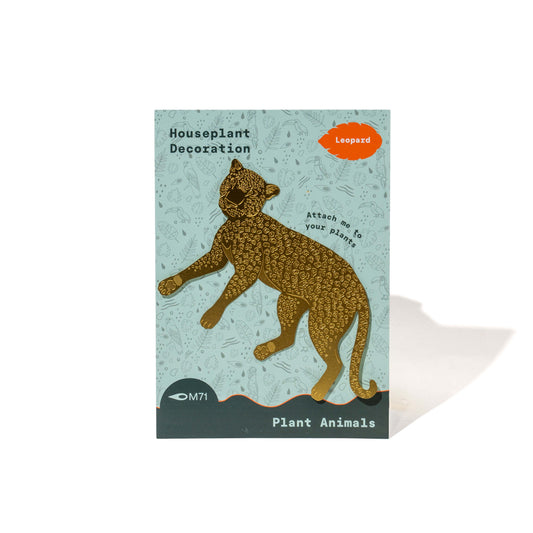 M71 PLANT DECORATION | LEOPARD