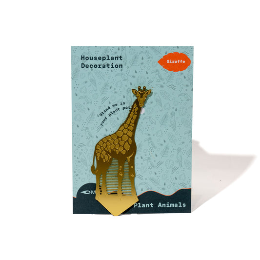M71 PLANT DECORATION | GIRAFFE