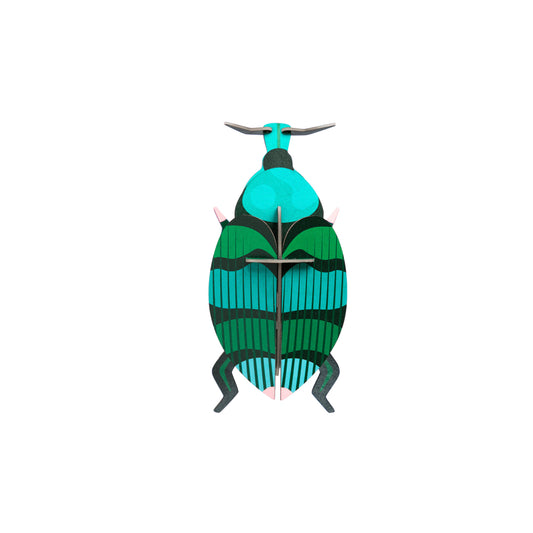 WALL ART | WEEVIL BEETLE