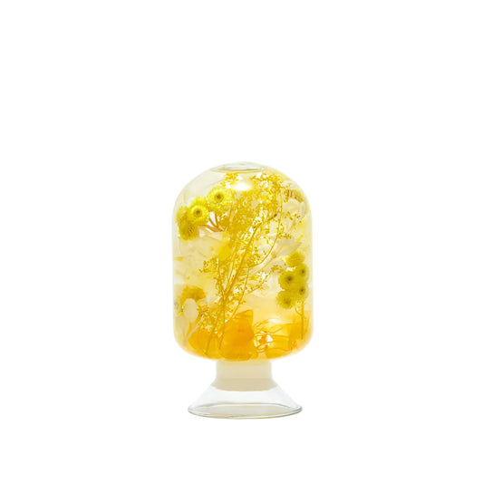 PIECES OF TIME | YELLOW IMMORTELLE | MEDIUM