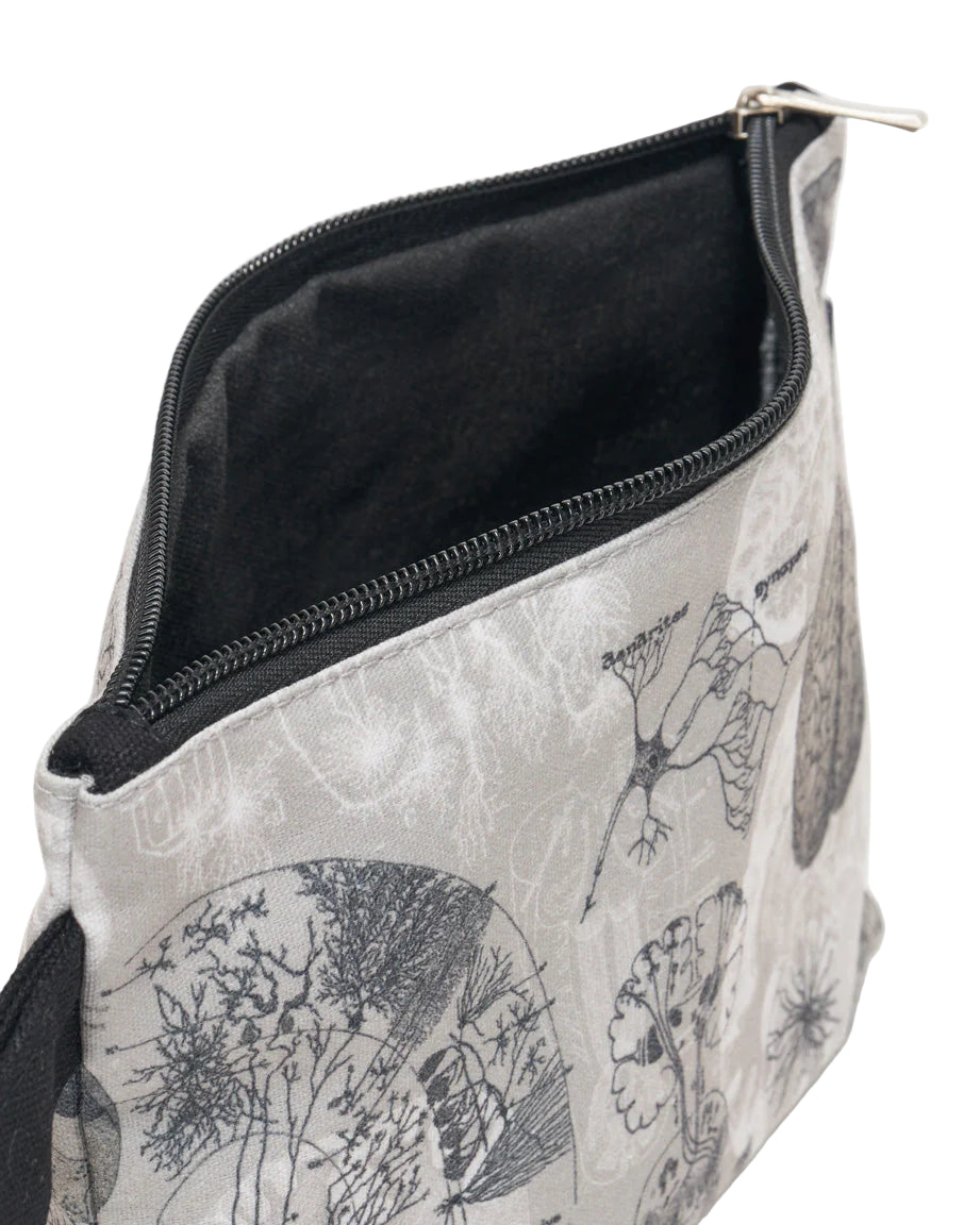 PENCIL BAG | BRAIN ANATOMY
