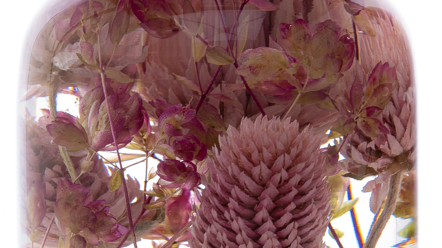 PIECES OF TIME | GLOBE AMARANTH | LARGE