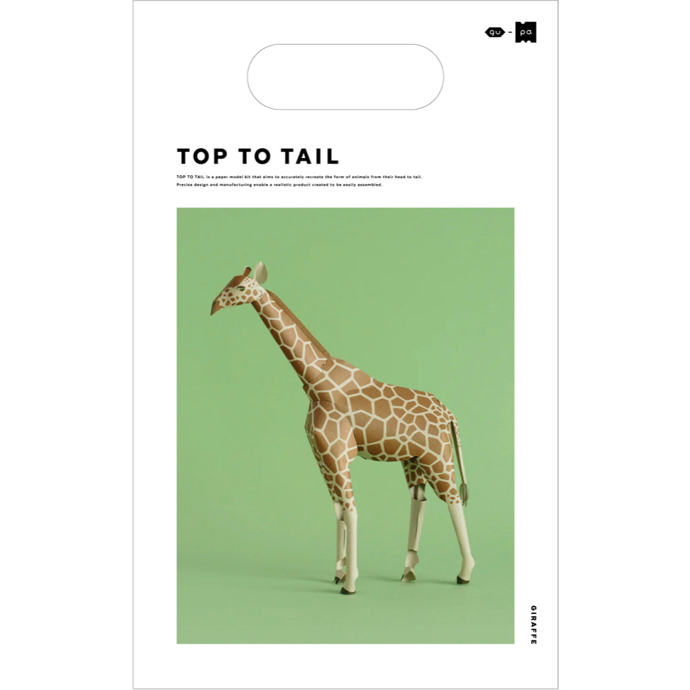 TOP TO TAIL | GIRAFFE