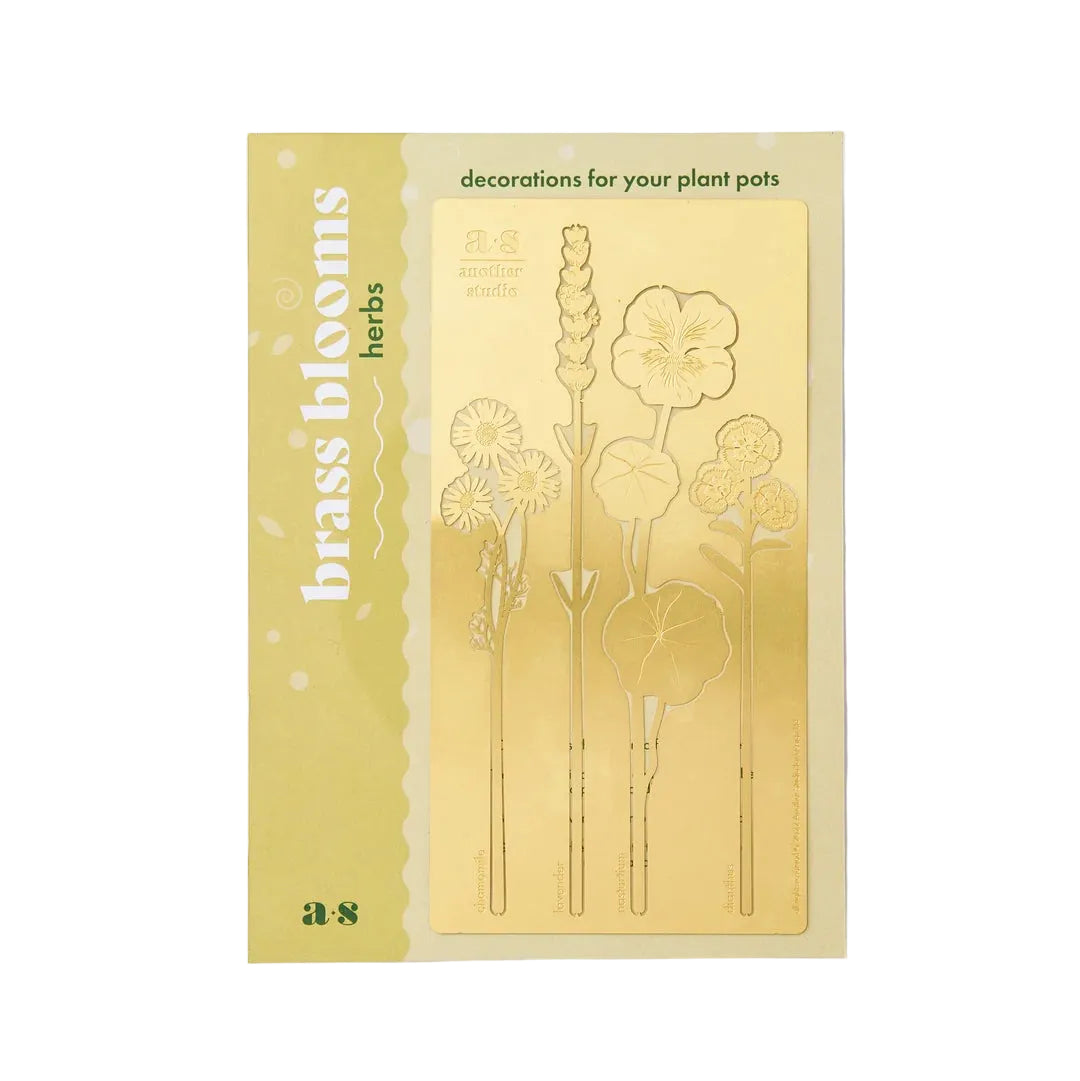 BRASS BLOOMS  | HERB
