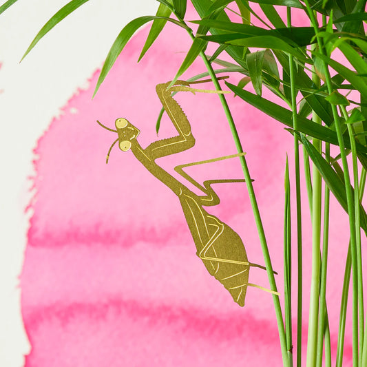 PLANT ANIMALS | PRAYING MANTIS