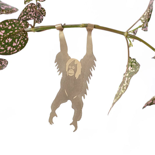 PLANT ANIMALS  | ORANGUTAN