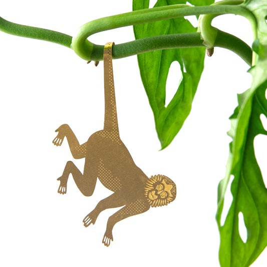 PLANT ANIMALS | MONKEY