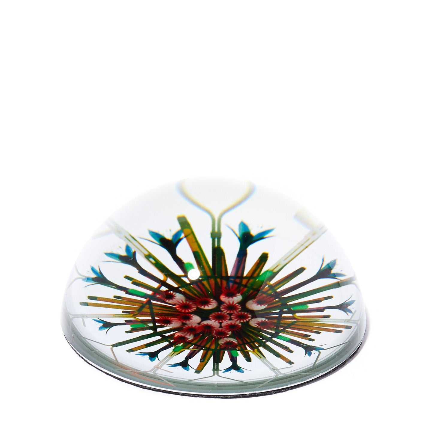 THE OBSERVATORY CACTUS PAPERWEIGHT