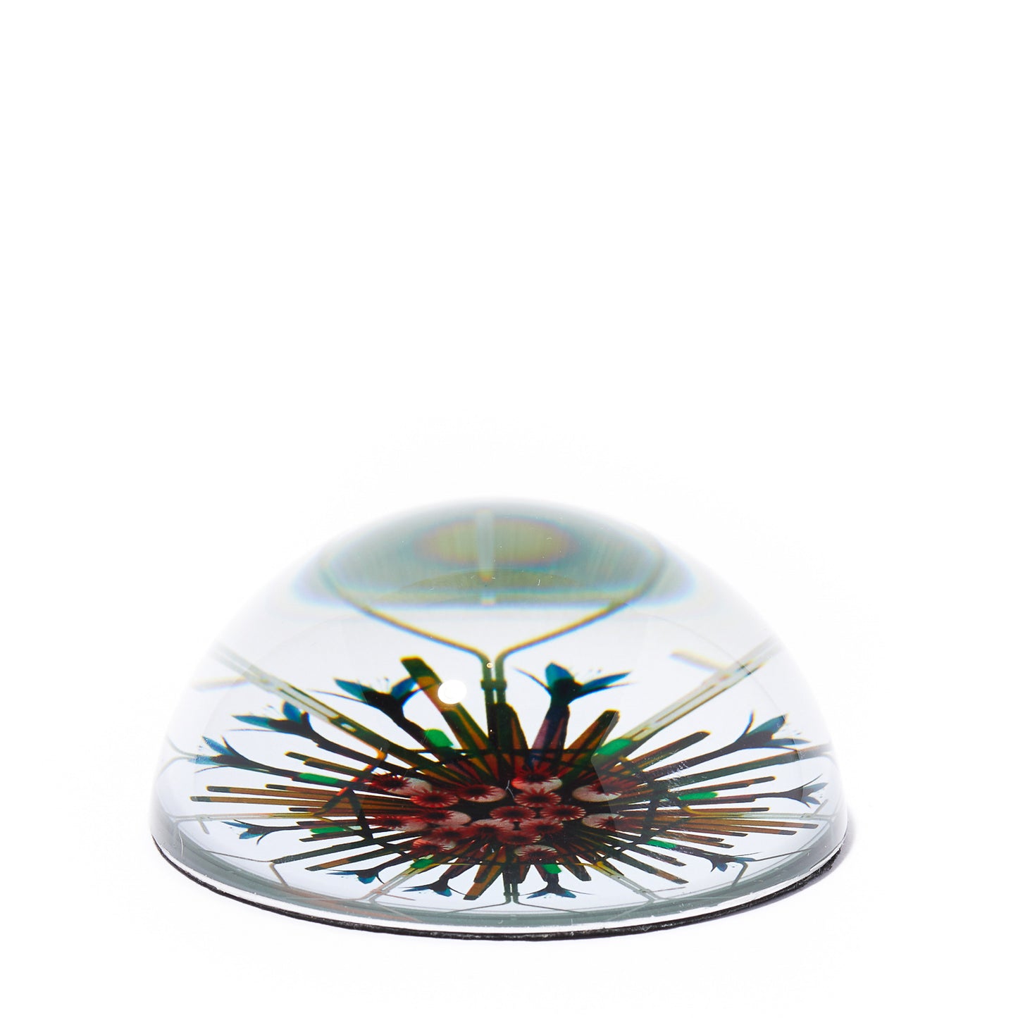 THE OBSERVATORY CACTUS PAPERWEIGHT