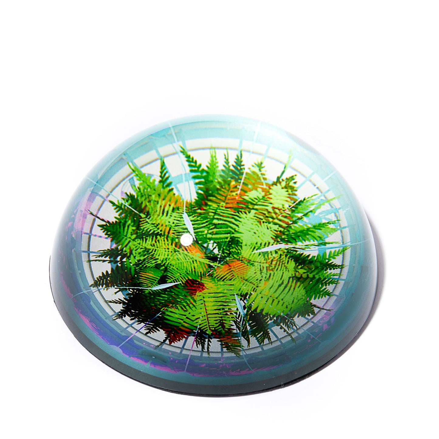 THE OBSERVATORY FERN PAPERWEIGHT