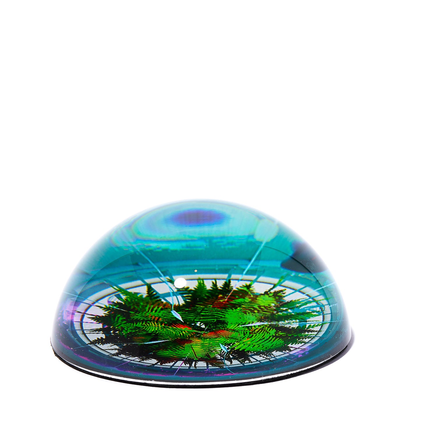 THE OBSERVATORY FERN PAPERWEIGHT