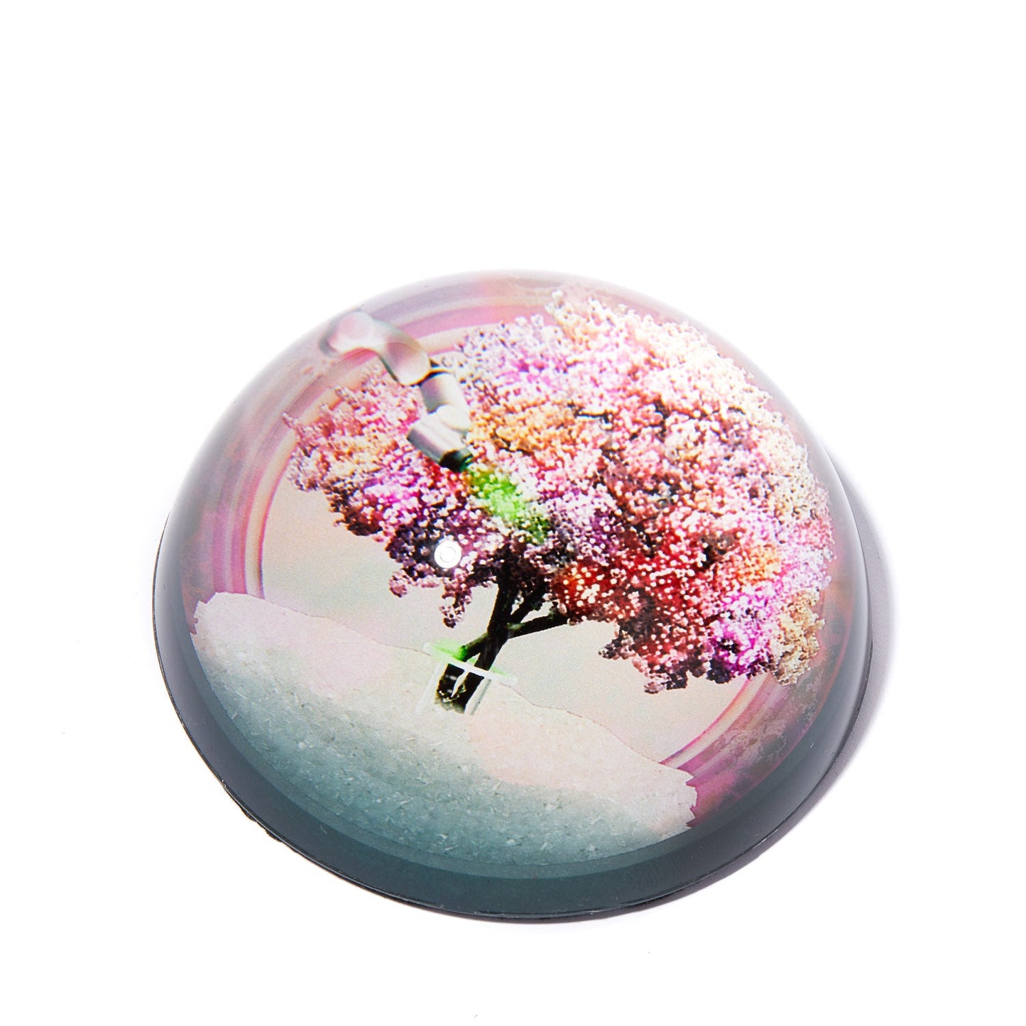 THE OBSERVATORY TREE PAPERWEIGHT