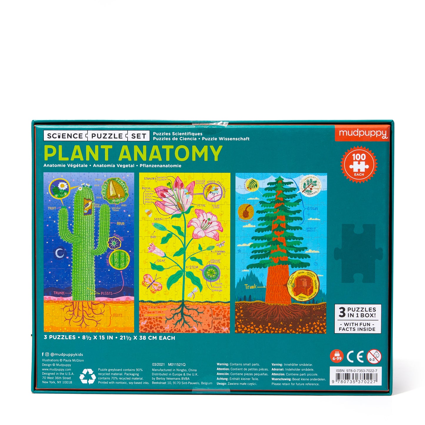 PLANT ANATOMY SCIENCE PUZZLE