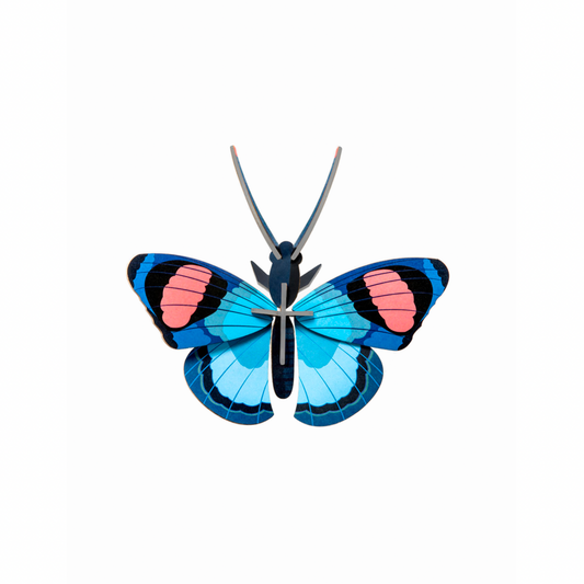 WALL ART | PEACOCK BUTTERFLY