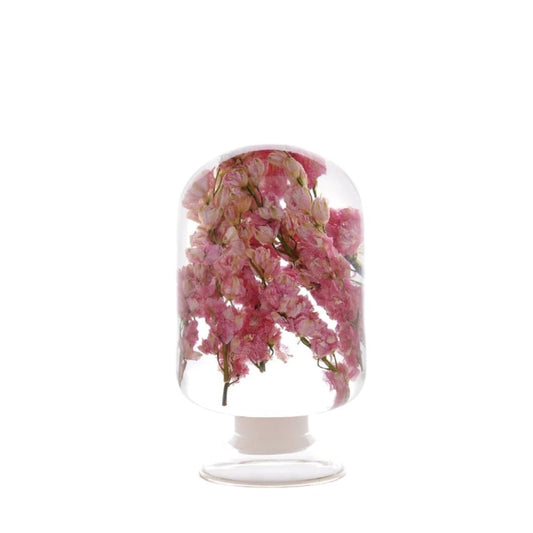 PIECES OF TIME | PINK DELPHINIUM | LARGE