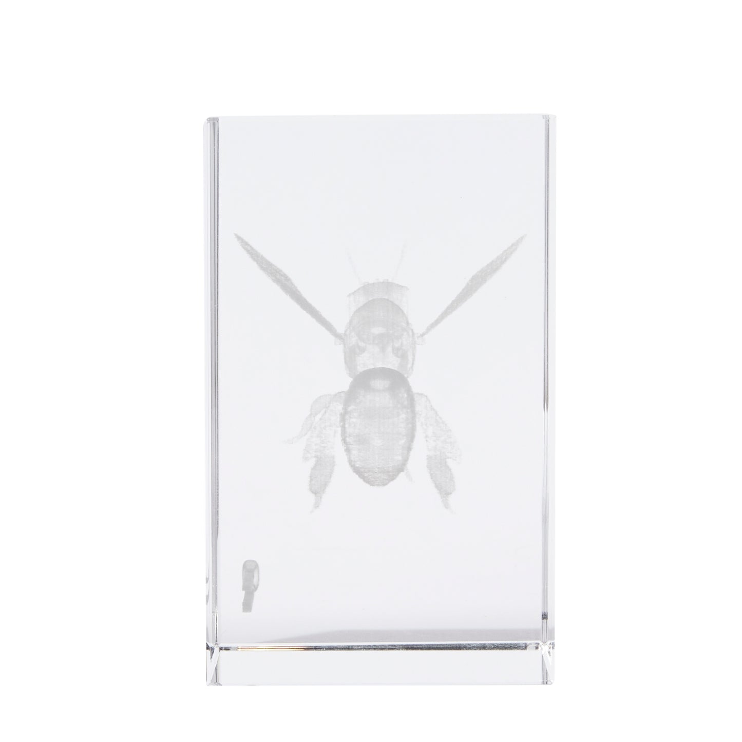 THE LIBRARY BEE CRYSTAL | SMALL