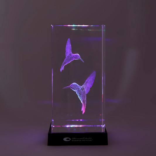 THE LIBRARY HUMMINGBIRD CRYSTAL | LARGE