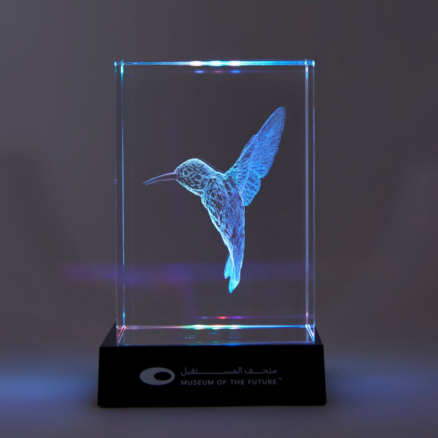 THE LIBRARY HUMMINGBIRD CRYSTAL | MEDIUM