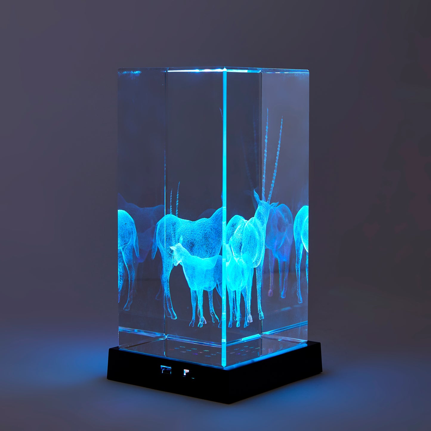 THE LIBRARY ORYX CRYSTAL | LARGE