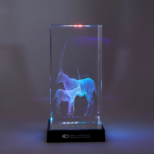THE LIBRARY ORYX CRYSTAL | LARGE