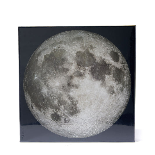THE MOON PUZZLE